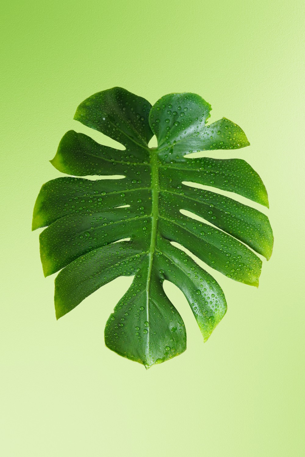 Tiếng Trung Giao Tiếp (Người lớn) – K20